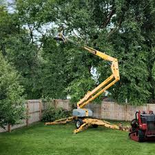 Best Seasonal Cleanup (Spring/Fall)  in Wanaque, NJ