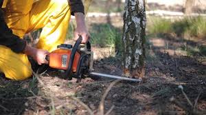 Best Arborist Consultation Services  in Wanaque, NJ