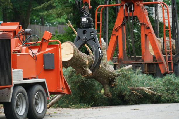 Best Organic Lawn Care Solutions  in Wanaque, NJ